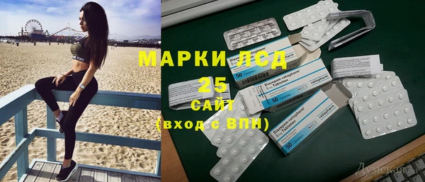 гашик Алексеевка