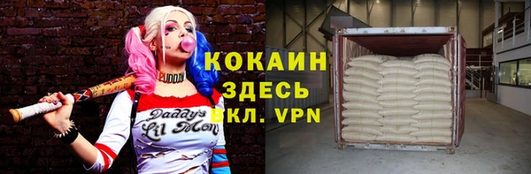 гашик Алексеевка